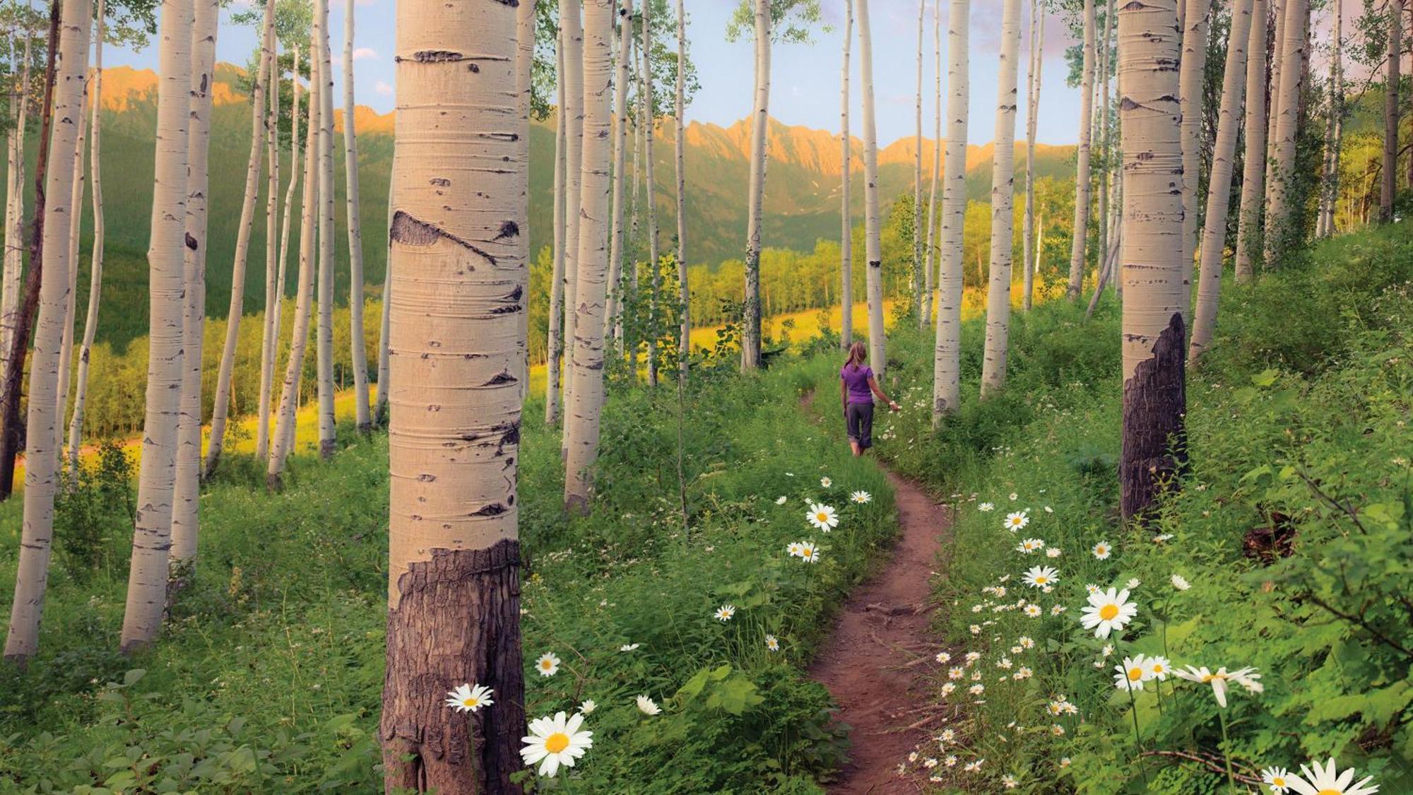Lift House Lodge, Vail Lionshead Studio Condo, Walk To Gondola المظهر الخارجي الصورة
